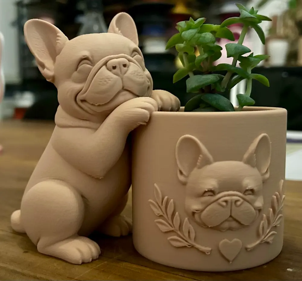Fransız Bulldog Saksı