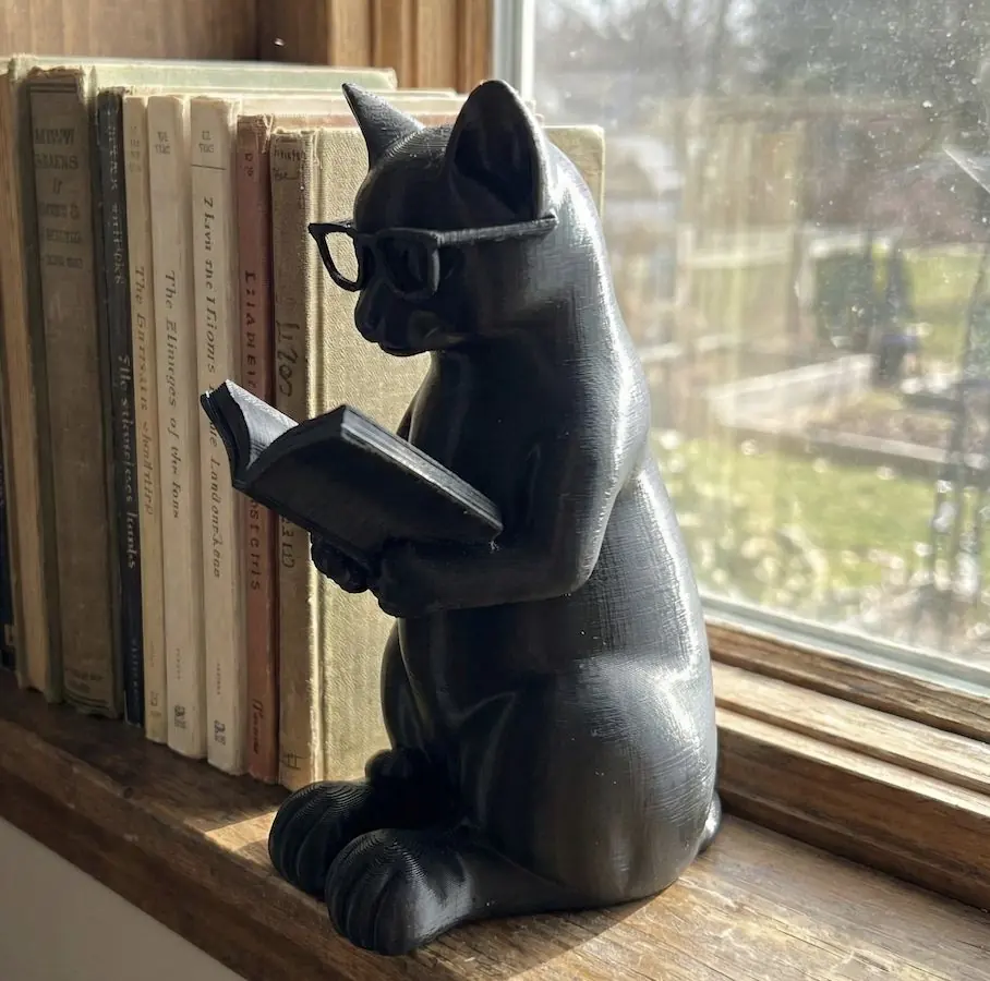 Gözlüklü Kedi Kitap Okuma Figürü