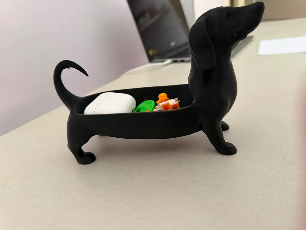 Köpek Biblo Organizer